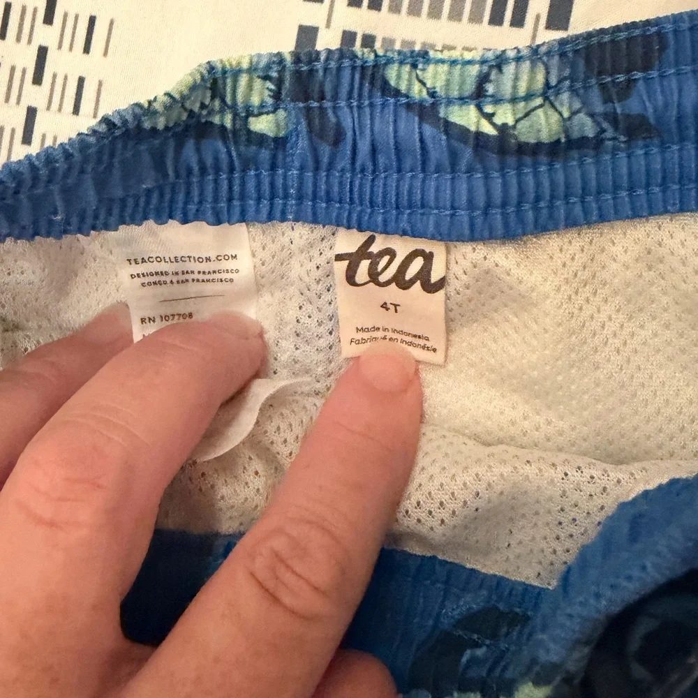 Blue Turtle Print Swim Trunks